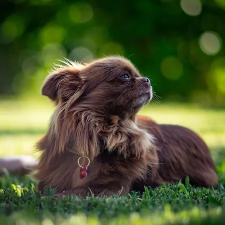 Os Migueliños Casa rural *